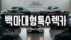 백마대형특수렉카