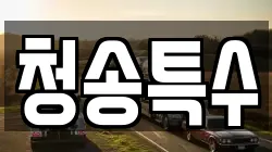 청송특수