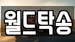 월드탁송