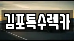 김포특수렉카