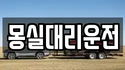 몽실대리운전