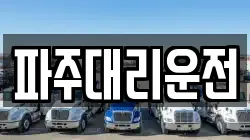 파주대리운전