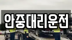 안중대리운전