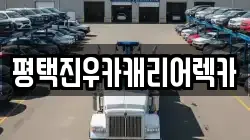 경기도 평택시 팽성읍 렉카, 특수렉카, 차량탁송, 견인운송