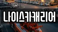 나이스카캐리어