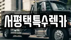 서평택특수렉카