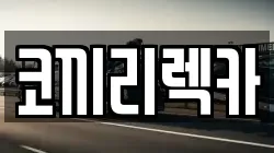 경기도 포천시 영중면 렉카, 특수렉카, 차량탁송, 견인운송