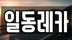 일동레카