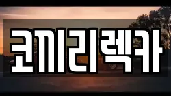 코끼리렉카
