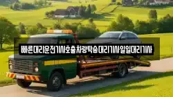 빠른대리운전기사호출차량탁송대리기사일일대리기사
