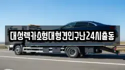 대성렉카소형대형견인구난24시출동