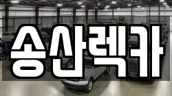 경기도 화성시 마도면 렉카, 특수렉카, 차량탁송, 견인운송