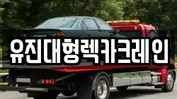 유진대형렉카크레인