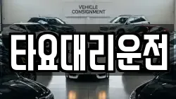 타요대리운전