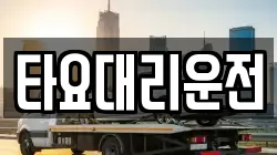 타요대리운전