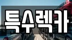 특수렉카