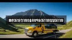 빠른대리운전기사호출차량탁송대리기사일일대리기사