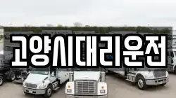 고양시대리운전