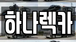 하나렉카