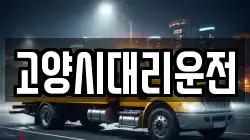고양시대리운전
