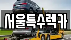 서울특수렉카