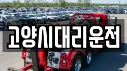 고양시대리운전
