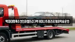경기 고양시 덕양구 원흥동 렉카, 특수렉카, 차량탁송, 견인운송
