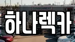하나렉카