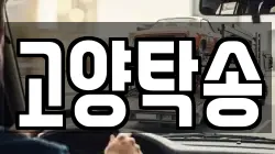 고양탁송