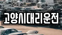 고양시대리운전