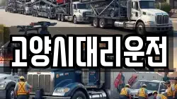 고양시대리운전