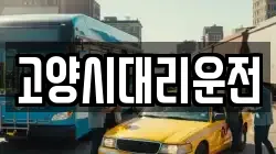 고양시대리운전