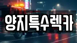 경기 고양시 일산동구 성석동 렉카, 특수렉카, 차량탁송, 견인운송