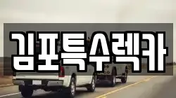김포특수렉카
