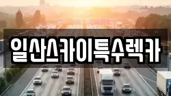일산스카이특수렉카