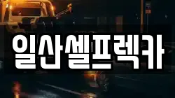 경기 고양시 일산동구 풍동 렉카, 특수렉카, 차량탁송, 견인운송