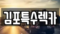 김포특수렉카