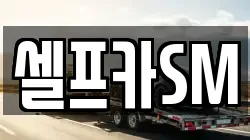 셀프카SM