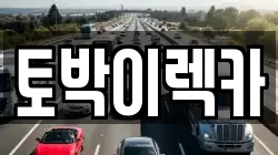 토박이렉카