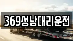 369성남대리운전
