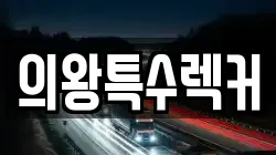 의왕특수렉커