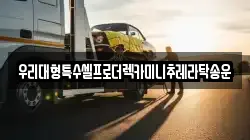 우리대형특수셀프로더렉카미니추레라탁송운