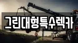 경기 김포시 렉카, 특수렉카, 차량탁송, 견인운송
