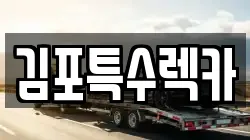김포특수렉카