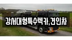 강서대형특수렉카,견인차
