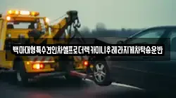 경기 김포시 북변동 렉카, 특수렉카, 차량탁송, 견인운송