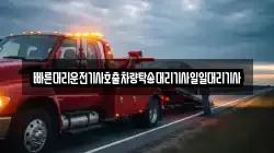 빠른대리운전기사호출차량탁송대리기사일일대리기사