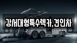 강서대형특수렉카,견인차