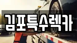 김포특수렉카