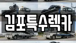 경기 김포시 장기동 렉카, 특수렉카, 차량탁송, 견인운송